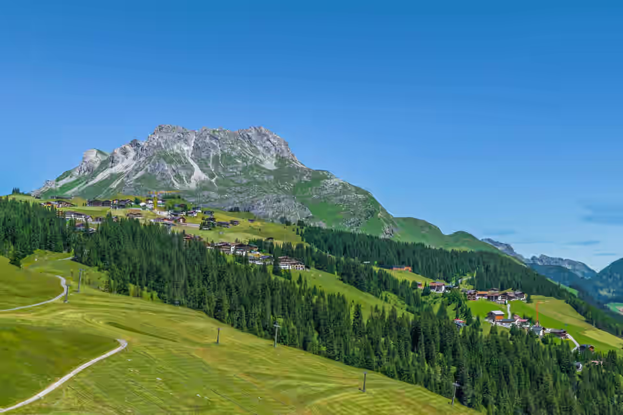 Wiese mit Blumen, Häuser im Hintergrund sowie Bergen und Bäume