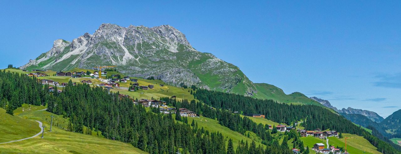 Wiese mit Blumen, Häuser im Hintergrund sowie Bergen und Bäume