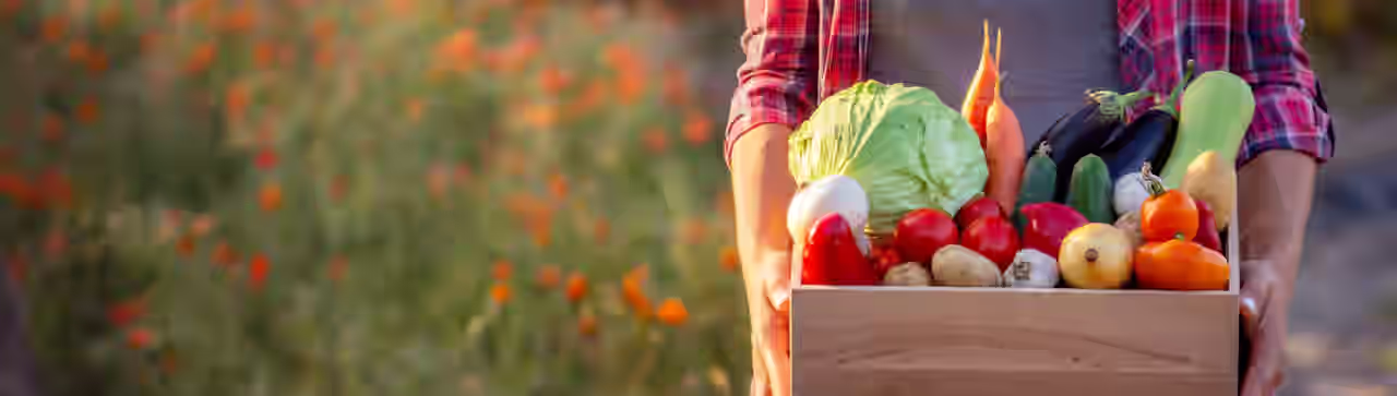 Eine fröhliche Frau hält sich Tomaten vor die Augen