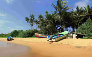 Samma Samadhi Ayurveda & Yoga Retreat - Zdjęcie 3