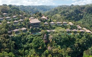 The Royal Pita Maha - Image 4