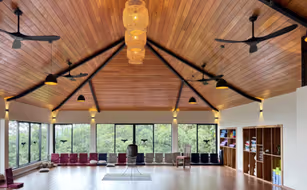 Yasmin Hill Longevity Oasis - Image 5