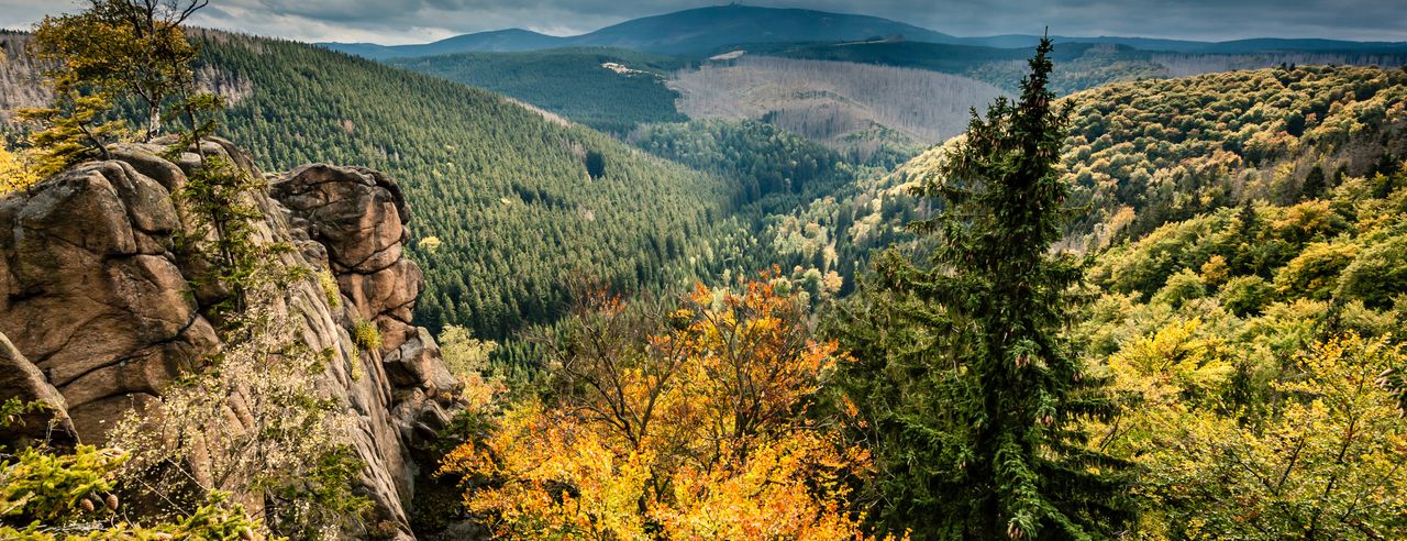 Landschaft im Harz