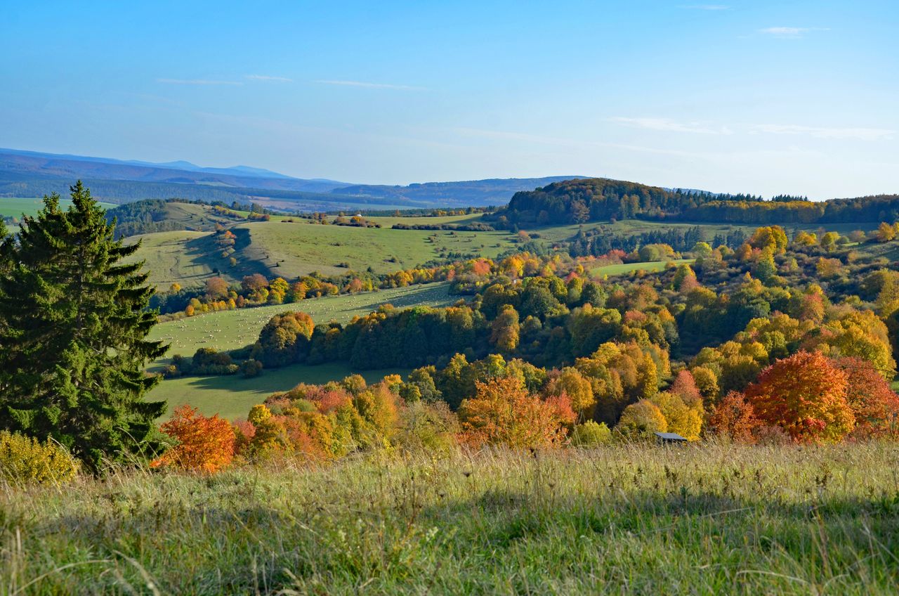 Blick auf die weite Hügellandschaft der Rhön im Herbst
