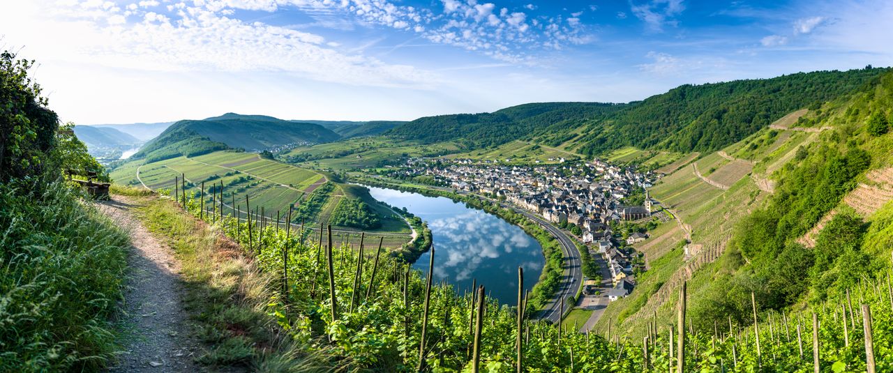 Panoramablick über eine kleine Stadt in der Pfalz