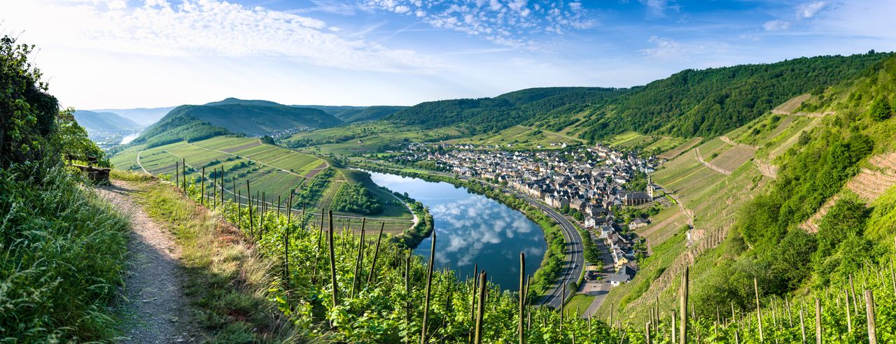 Panoramablick über eine kleine Stadt in der Pfalz