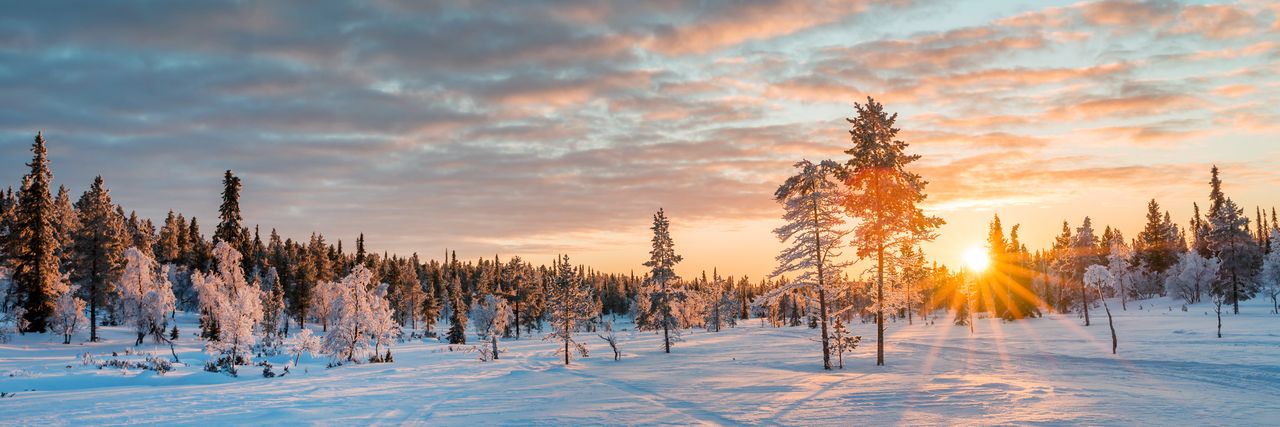 Panoramablick auf eine Schneelandschaft in Lappland