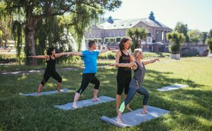 Hotel Fontana & Madukkakuzhy Ayurveda-Zentrum  - Immagine 3