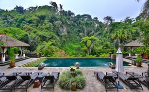 Bagus Jati - Immagine 2