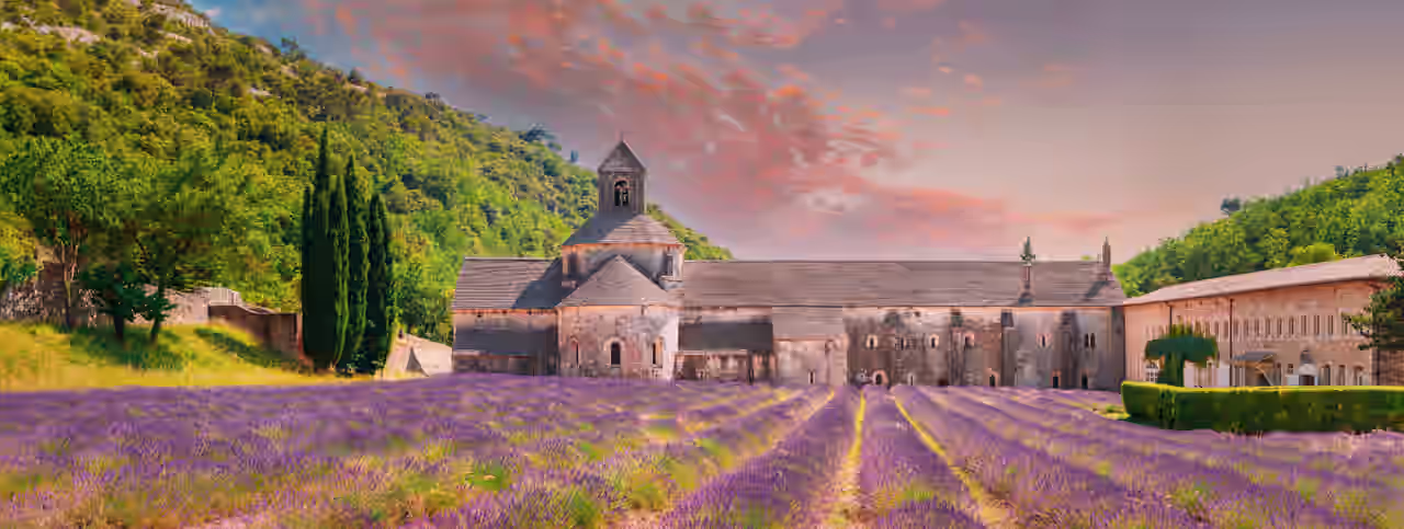 Ein Lavendelfeld in Frankreich im Sommerurlaub kennen und lieben lernen