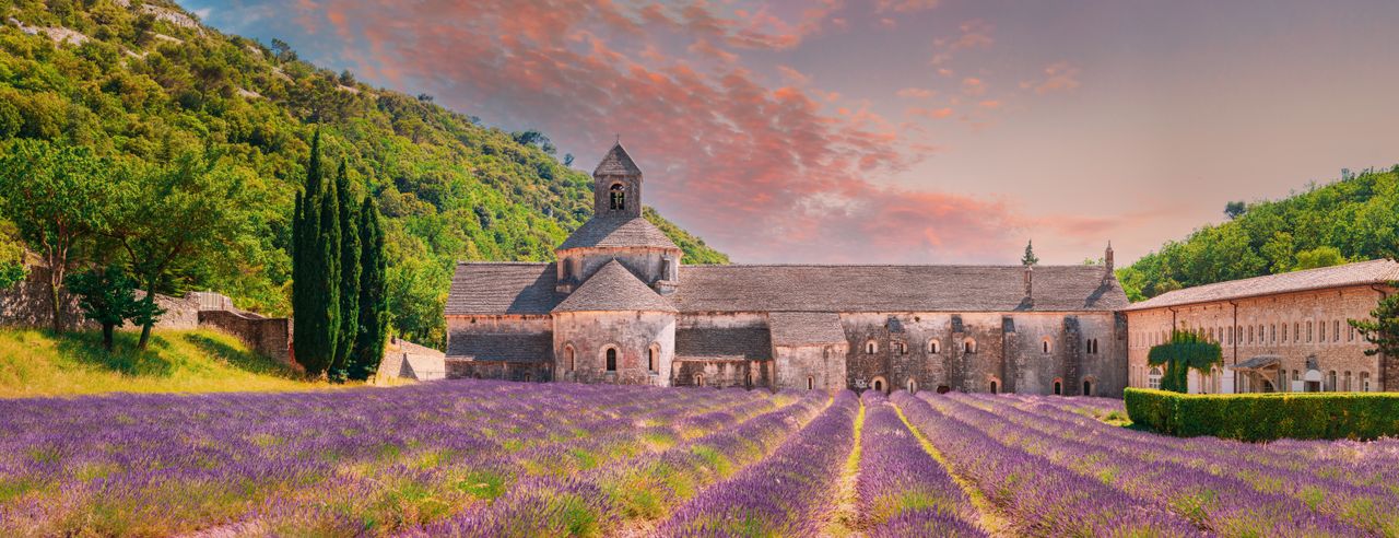 Ein Lavendelfeld in Frankreich im Sommerurlaub kennen und lieben lernen