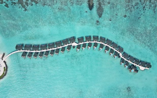 Joy Island  - Imagen 1