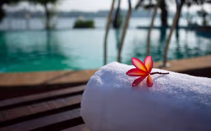 Akanta Ayurveda and Yoga Cherai - Image 2