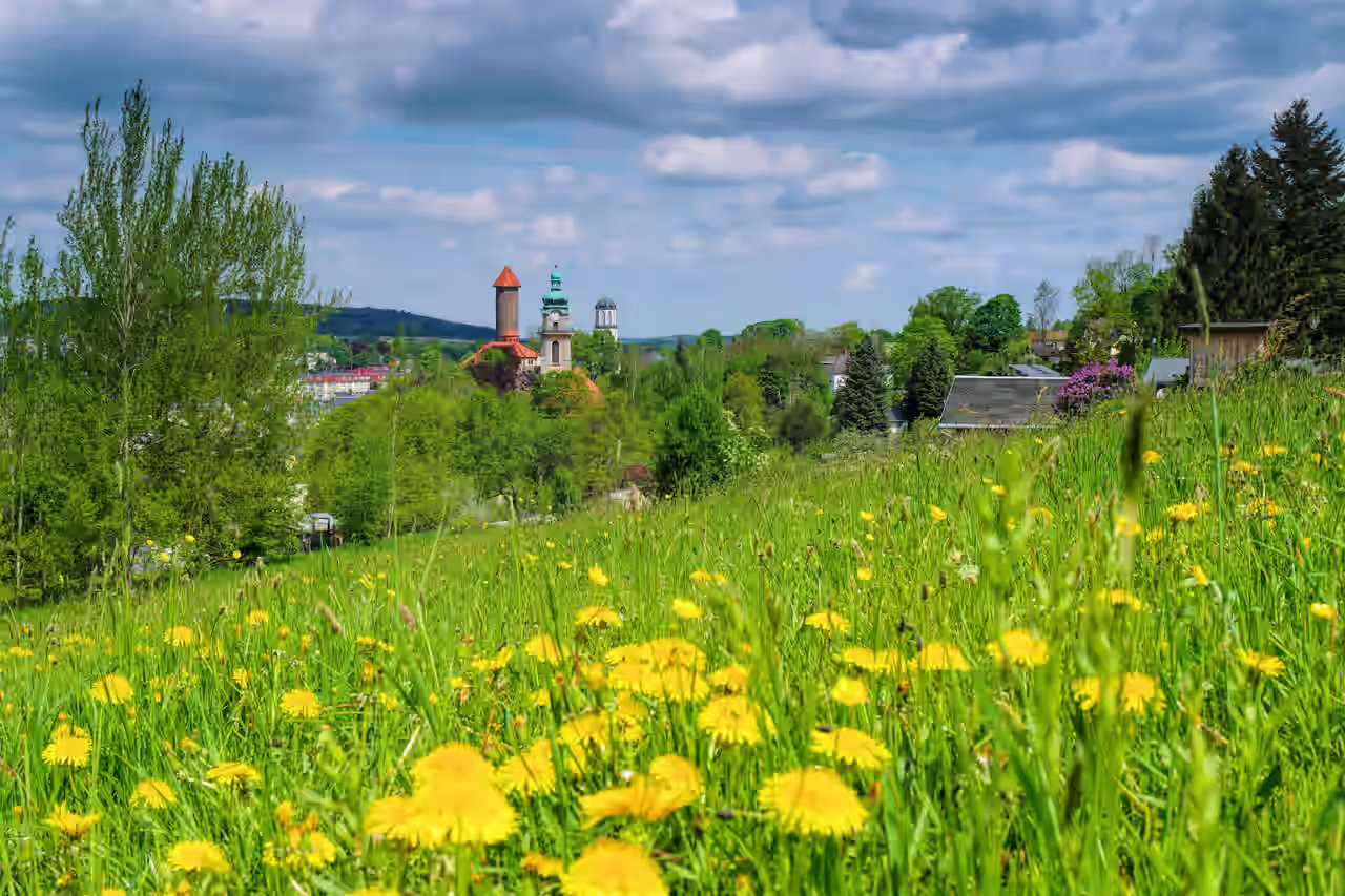 Auerbach im Vogtland im Frühling