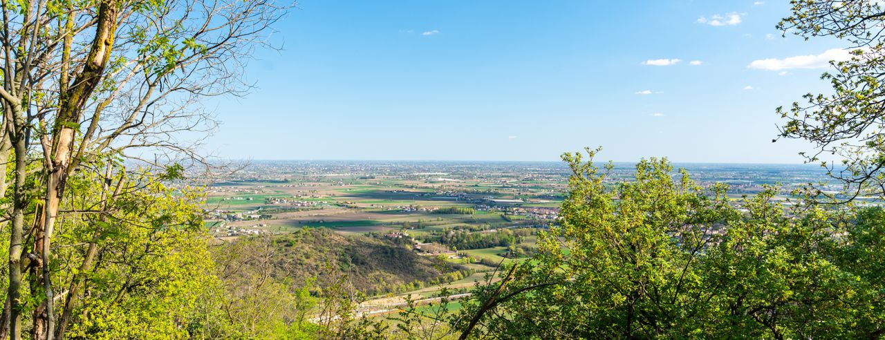 Paesaggio dei Colli Euganei