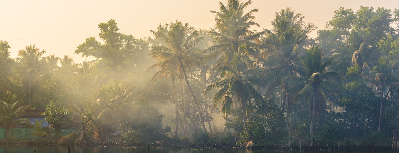 Indischer Dschungel am See, Kulisse eines Detox Urlaubes