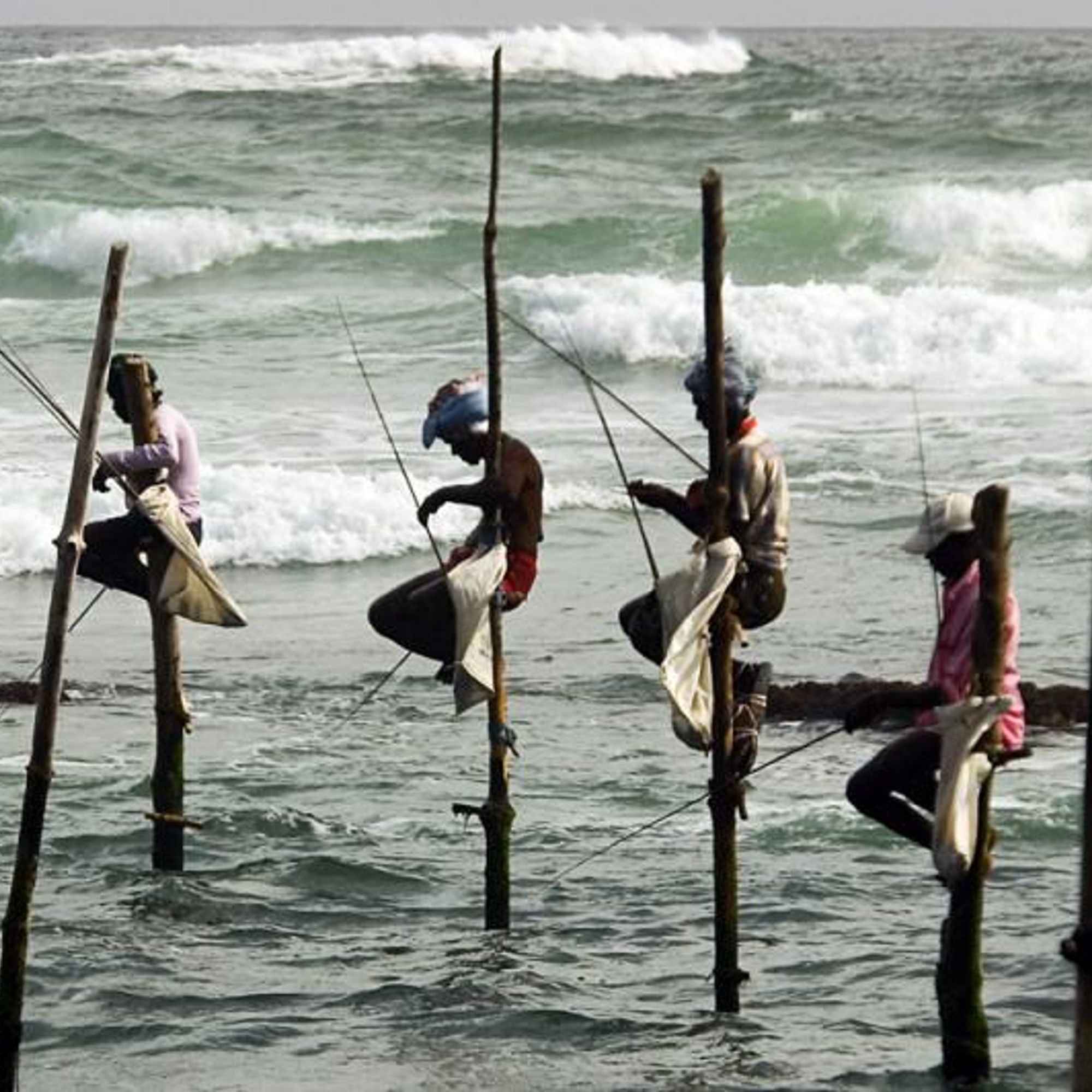 Sri Lanka Highlights.