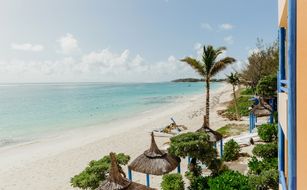 SALT of Palmar - Bild 5