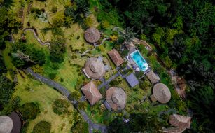 Bagus Jati - Image 4