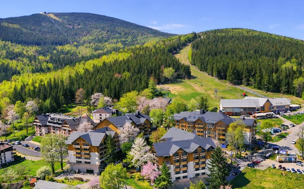 Forest Park Resort & Spa - Imagen 1