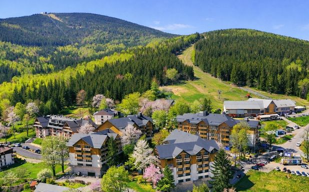 Forest Park Resort & Spa - Imagen 1