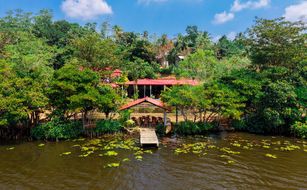 Samaya Waters - Image 4