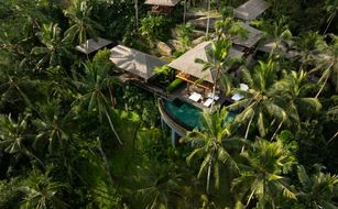 COMO Shambhala Estate - Afbeelding 2