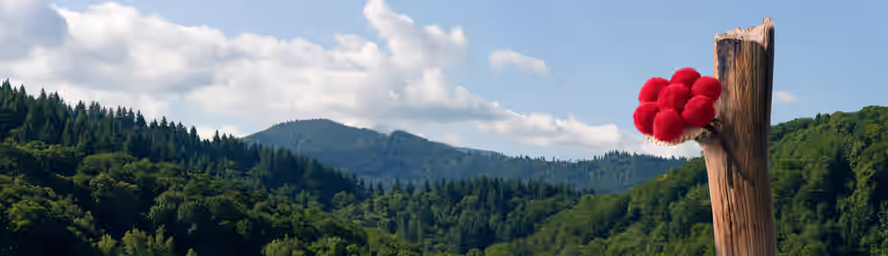 Panorama von Wäldern im Schwarzwald mit Bollenhut an einem abgebrochenen Baumstamm