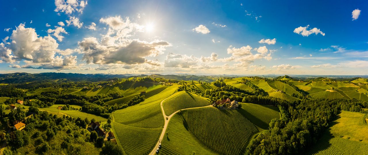 Panoramablick über Weinberge in der Steiermark