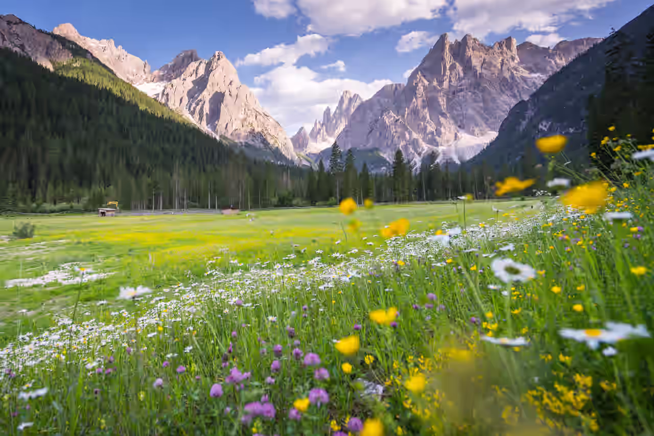 Panoramablick auf Berge und Wiesen