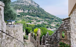 The Frog'S House - Bild 2