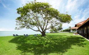 Jetwing Lagoon - Image 3