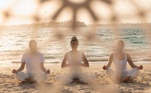 Taj Exotica Resort & Spa The Palm Dubai - Immagine 3