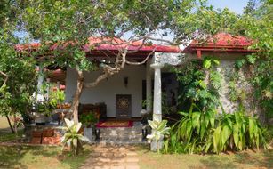 Samaya Waters - Image 3