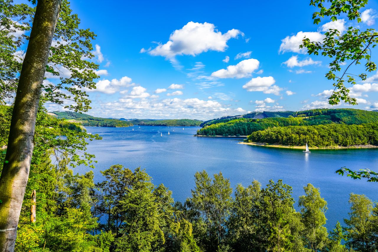 Blick auf den Biggersee umgeben von Bäumen