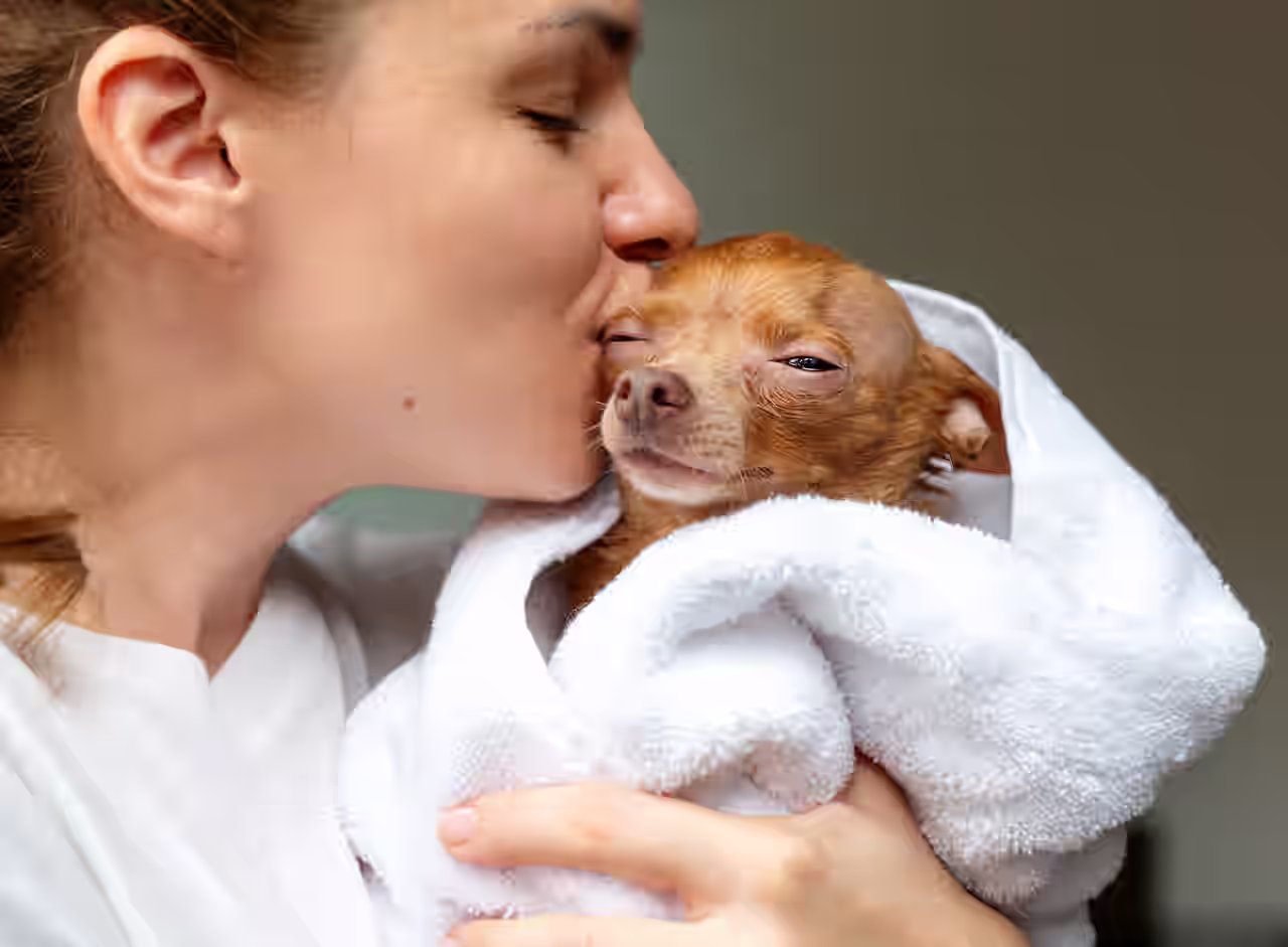 Frau, die ihrem Hund einen Kuss gibt