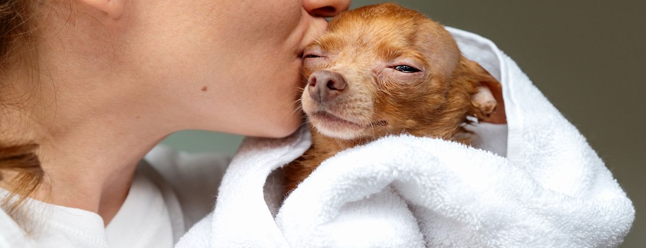 Frau, die ihrem Hund einen Kuss gibt