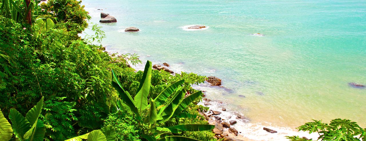 Fantastic views of Thailand's flora and the sea