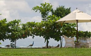 Cinnamon Sea Health Care Resort - Zdjęcie 5