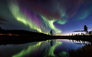 Arctic Nook - Immagine 5