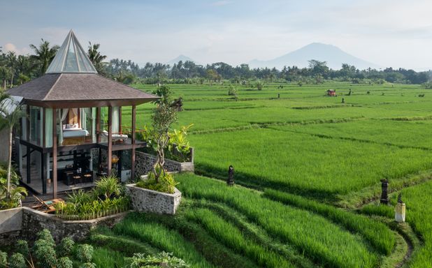 Gdas Bali Health and Wellness Resort - Image 1