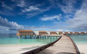 Park Hyatt Maldives Hadahaa - Bild 2