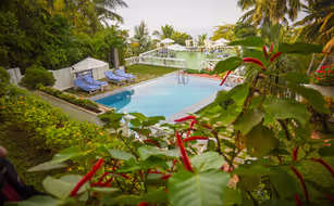 Nikki's Nest - Image 5