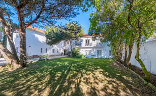 Silver Seahorse - Bild 2