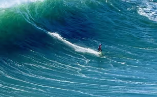 Silver Seahorse - Bild 4