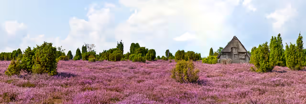 Wellness Wochenende in der Lüneburger Heide