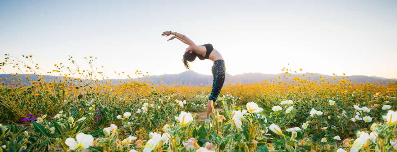 Yoga im Blumenfeld