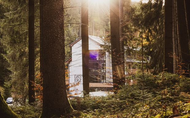 DAS ERZ Medical Spa & Hotel - Bild 1