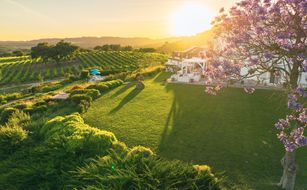 Hotel Casa Palmela - Zdjęcie 3