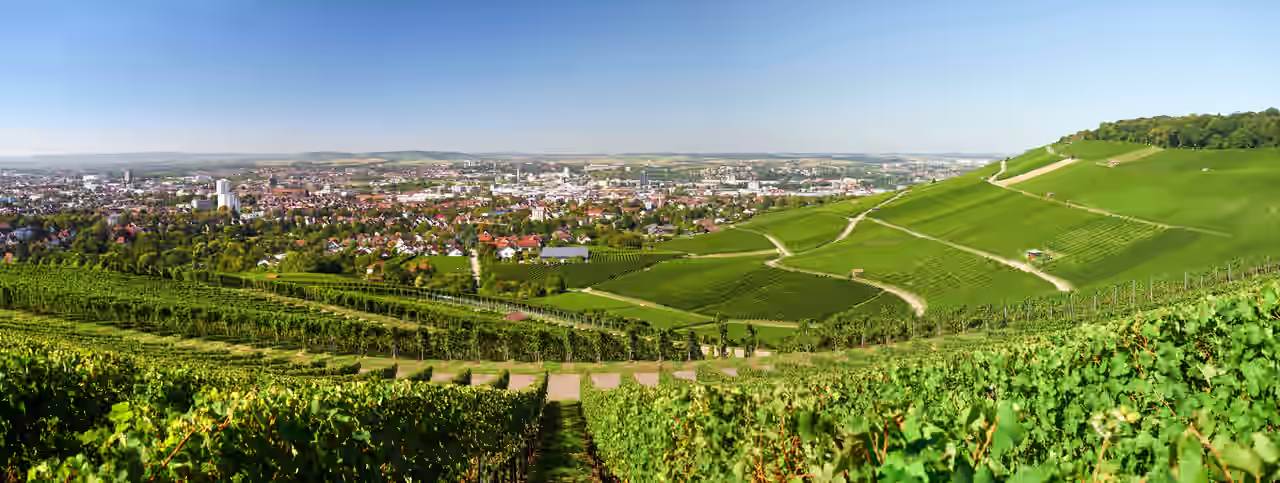 Luftaufnahme von Heilbronn zwischen grünen Weinbergen und blauem Himmel